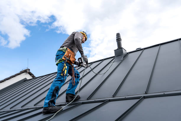 Best Solar Panel Roofing Installation  in Tamaqua, PA